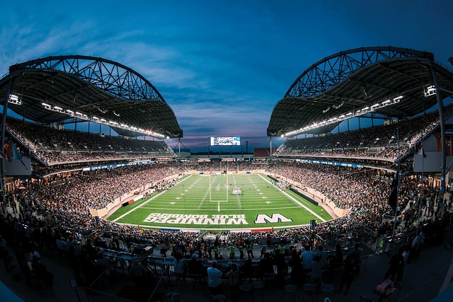 在这个充满 在这个充满