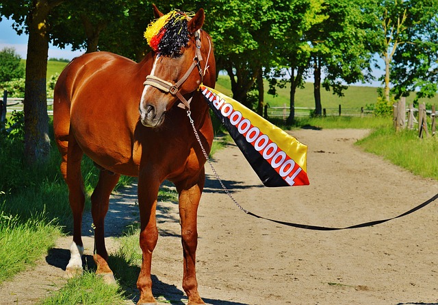 这一问题上 这一问题上